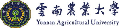 完美官方在线入口